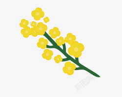 手绘可爱插图黄色清新油菜花素材