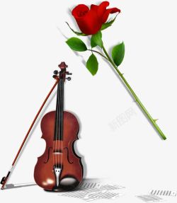 小提琴玫瑰花元素素材