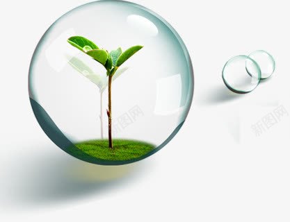 水中的嫩芽png免抠素材_88icon https://88icon.com 嫩芽 小树 树牙 气泡 水滴