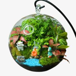 龙猫苔藓微景观生态瓶创意盆栽高清图片