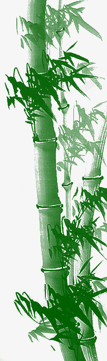 粗壮葱郁竹子素材