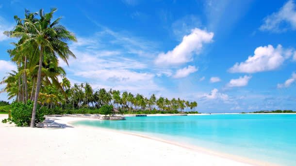 海滩椰林蓝天白云背景