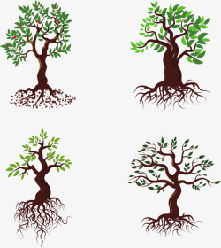 树木成长过程矢量图素材