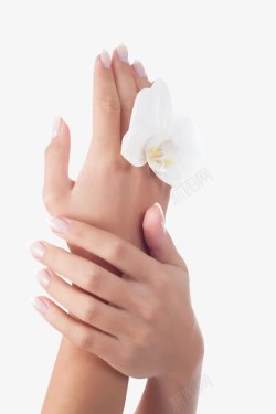 手部护理与花朵素材