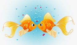 吐泡泡两条黄色亲吻的小金鱼高清图片