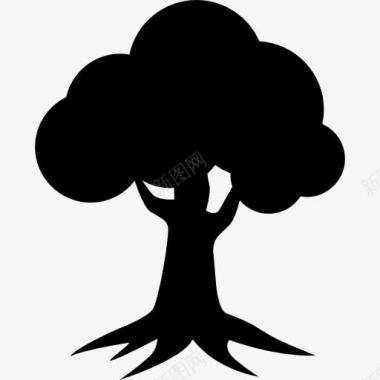 黑白树皇家橡树家园标志树剪影图标图标