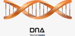 鍩哄洜阈桔红色DNA高清图片