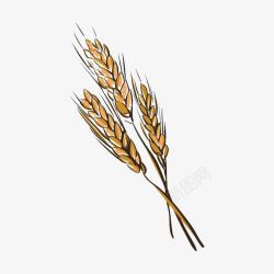 小麦高粱手绘麦穗高清图片