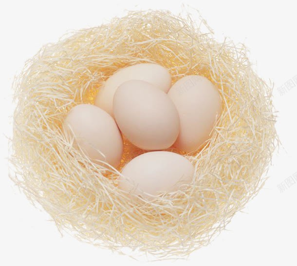 鸟窝蛋类蛋png免抠素材_88icon https://88icon.com 一筐蛋 土鸡蛋 家禽蛋 美食 蛋 蛋类 蛋蛋 食材 餐饮美食 鸟的庇护所 鸟窝 鸟蛋 鸡蛋