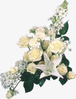 一束白色玫瑰花装饰素材