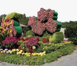 北京植物园景点北京景点植物园高清图片