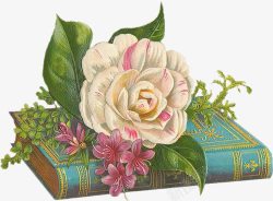 古典手绘鲜花魔法书素材