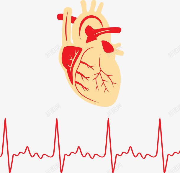 心率上的心脏png免抠素材_88icon https://88icon.com 心率图 心电图 心脏 矢量心率 红色