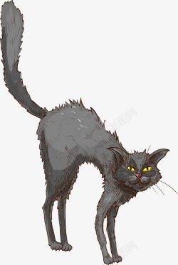 恐怖野猫黑色惊吓野猫高清图片