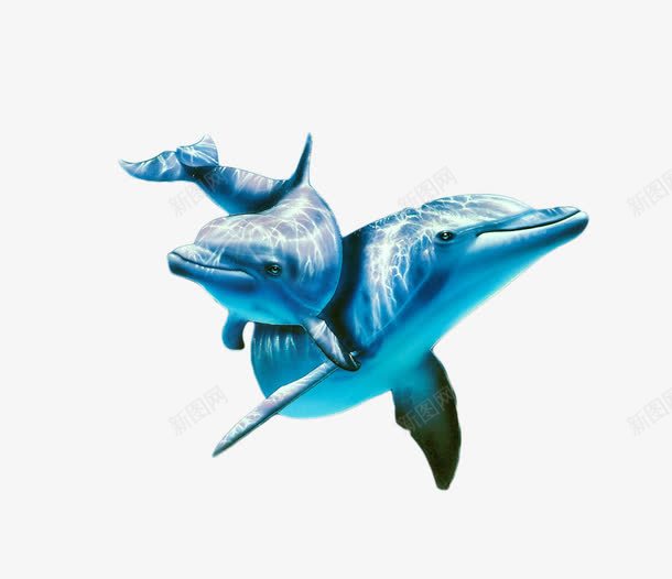海里的鲸鱼png免抠素材_88icon https://88icon.com PNG素材 海产品 蓝色 鲸鱼