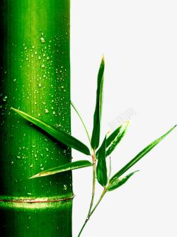 绿色竹筒竹子端午节素材