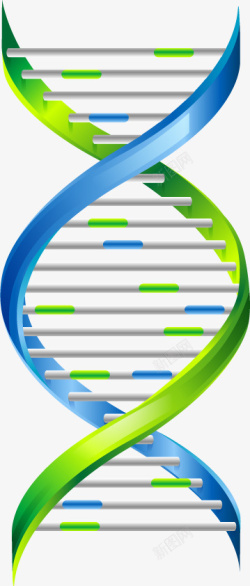 卡通彩色DNA结构图素材