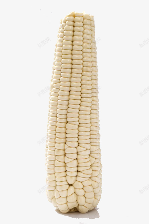 一根儿大个儿白玉米棒子图png免抠素材_88icon https://88icon.com 一根儿大个玉米棒 庄稼 玉米 玉米棒子 白玉米 白玉米棒 白玉米棒子 白色玉米