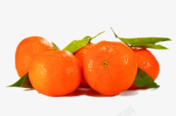 黄橘美味橘子高清图片