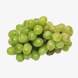 绿葡萄素材