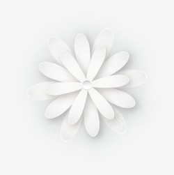 白色细长花瓣花朵手绘素材