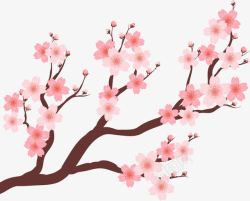 美丽的樱花树素材