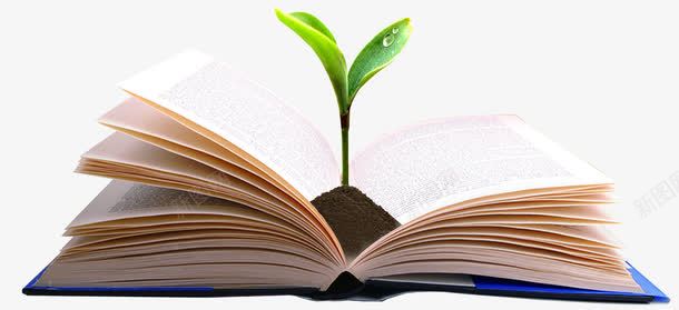 书中的小树苗png免抠素材_88icon https://88icon.com 书本 免抠 学习 树苗 知识