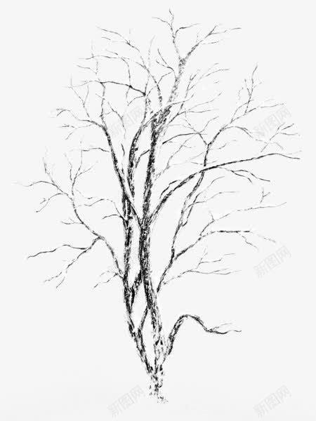 白雪覆盖的树木png免抠素材_88icon https://88icon.com 下雪 树木 白雪 覆盖