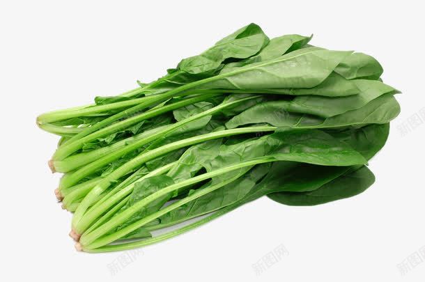新鲜的菠菜png免抠素材_88icon https://88icon.com png图片 产品实物 新鲜的菠菜 时令蔬菜 绿色食品免费png 进口蔬菜