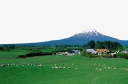 新西兰景区塔拉纳基山景区高清图片