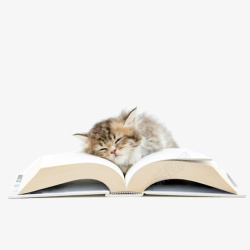 卡通书本上睡觉的小猫素材