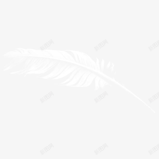 一根羽毛png免抠素材_88icon https://88icon.com png图形 png装饰 手绘 白色 羽毛 装饰
