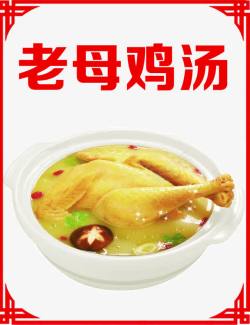 火锅店海报素材老母鸡汤高清图片