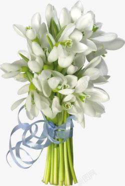 白色花朵一簇白花素材