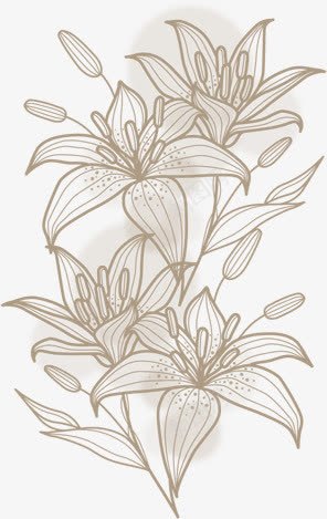 创意手绘效果素描百合花教师节快乐png免抠素材_88icon https://88icon.com 创意 快乐 效果 教师节 百合花 素描