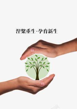 灾难后重生素材