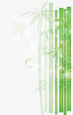 绿色阳光树影竹叶素材