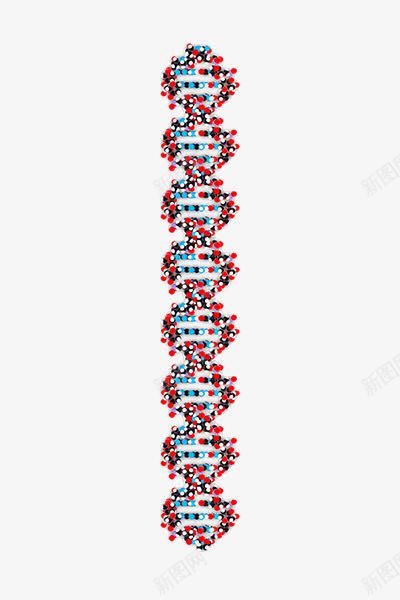 DNA结构png免抠素材_88icon https://88icon.com 双螺旋结构 基因检测 生物 遗传学