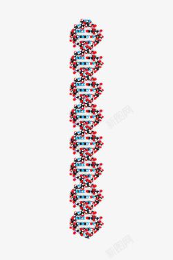 DNA结构素材