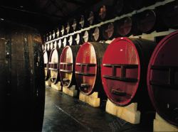 酒窖装饰图案素材