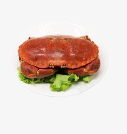 海鲜绿色食品英国熟冻面包蟹高清图片