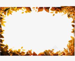 深秋金叶金色叶子视频框高清图片