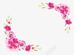 粉色的蝴蝶兰手绘粉色蝴蝶兰花草角边高清图片