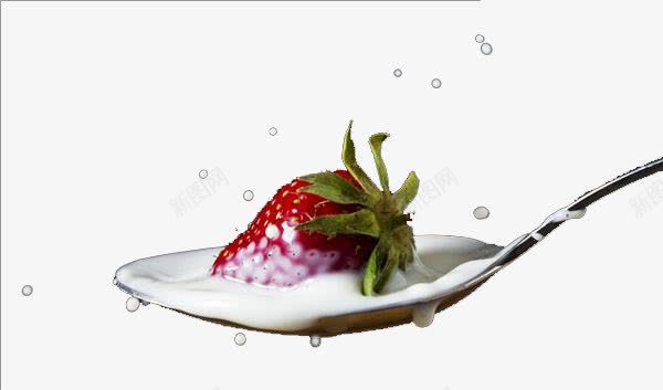 一勺草莓鲜牛奶png免抠素材_88icon https://88icon.com 可口 奶香味 新鲜美味 草莓 诱人 雪白色 香醇 鲜牛奶