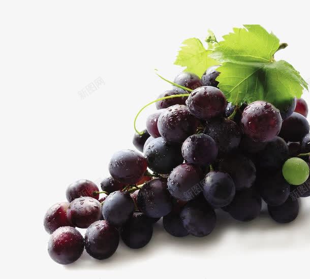 水晶紫色葡萄png免抠素材_88icon https://88icon.com 吐鲁番葡萄 摘葡萄 新鲜葡萄 有机葡萄 水果 生态葡萄 紫色 葡萄 葡萄上市 葡萄农业 葡萄园 葡萄庄园 葡萄批发 葡萄红酒 葡萄节 葡萄节开幕 葡萄采摘 葡萄采摘园 葡萄采摘节 进口葡萄 采摘葡萄