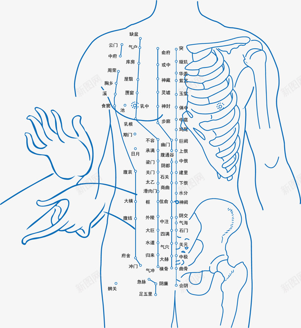 经络穴位平面矢量图ai免抠素材_88icon https://88icon.com 人体经络 人体经脉 人体经脉图 人体设计 十二 古代经络图 平面设计 明点 矢量图 矢量设计 经络图 经脉 背部