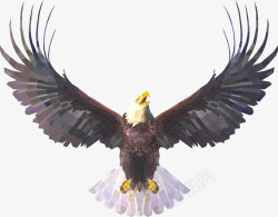 美国标志手绘立体感美国白头鹰高清图片