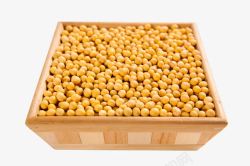 方形木箱里的黄豆素材
