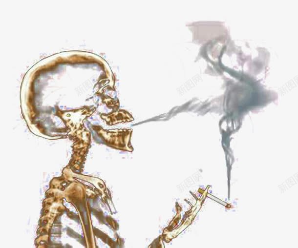 禁烟日抽烟的人物骷髅png免抠素材_88icon https://88icon.com 不抽烟 健康 危害 抽烟 抽象 生命 骷髅