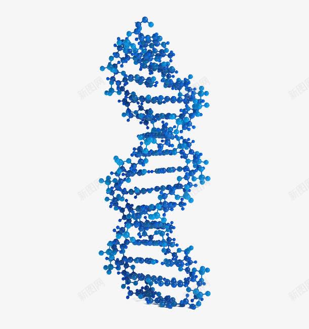 蓝色圆点DNApng免抠素材_88icon https://88icon.com DNA 分子 圆点 生物 蓝色